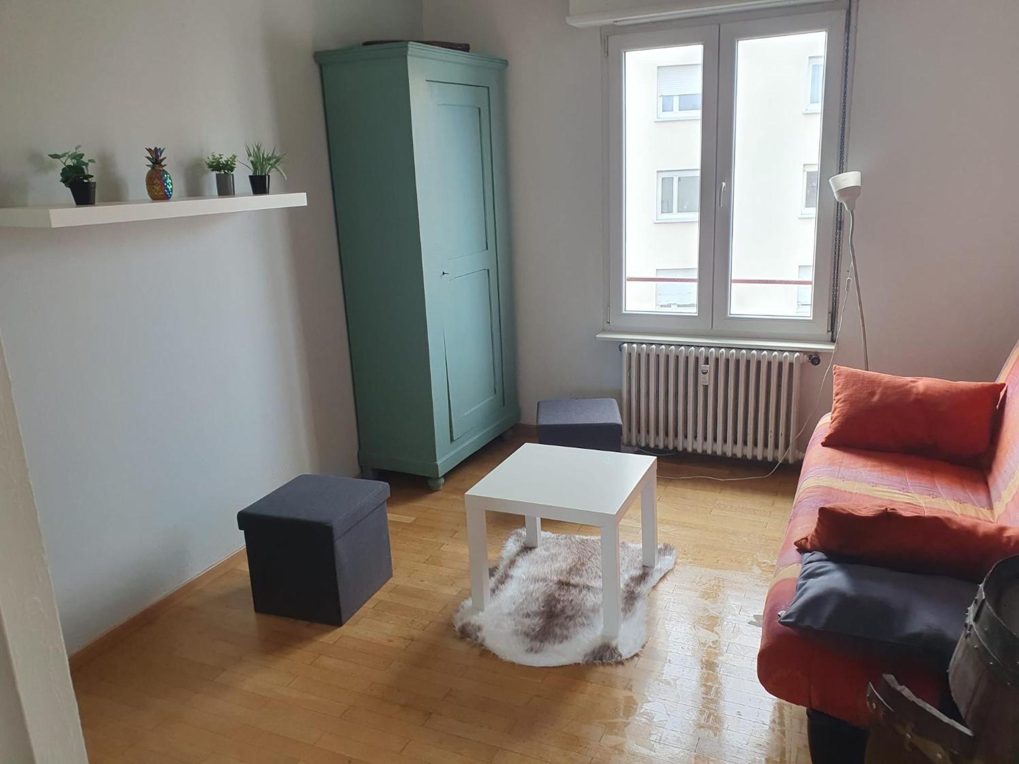 ストラスブール#6 : 2 Pieces Dernier Etage Tres Calme 40M2アパートメント エクステリア 写真
